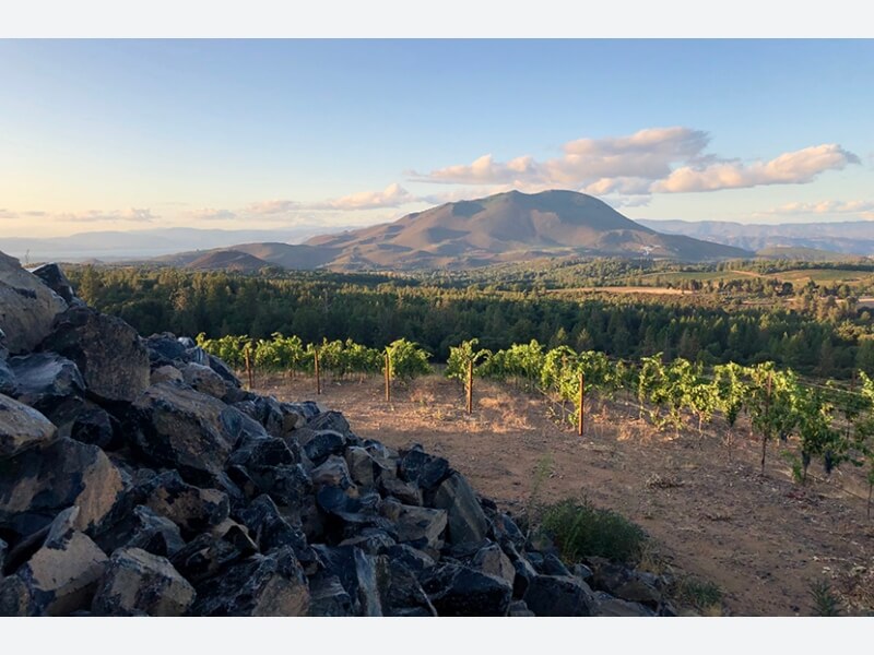 Obsidian Ridge Cabernet Sauvignon 2019 image 3