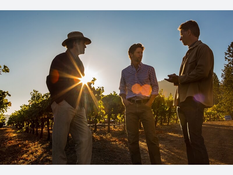 Obsidian Ridge Cabernet Sauvignon 2019 image 2