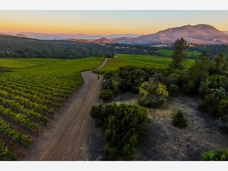 Obsidian Ridge Cabernet Sauvignon 2019 image 4