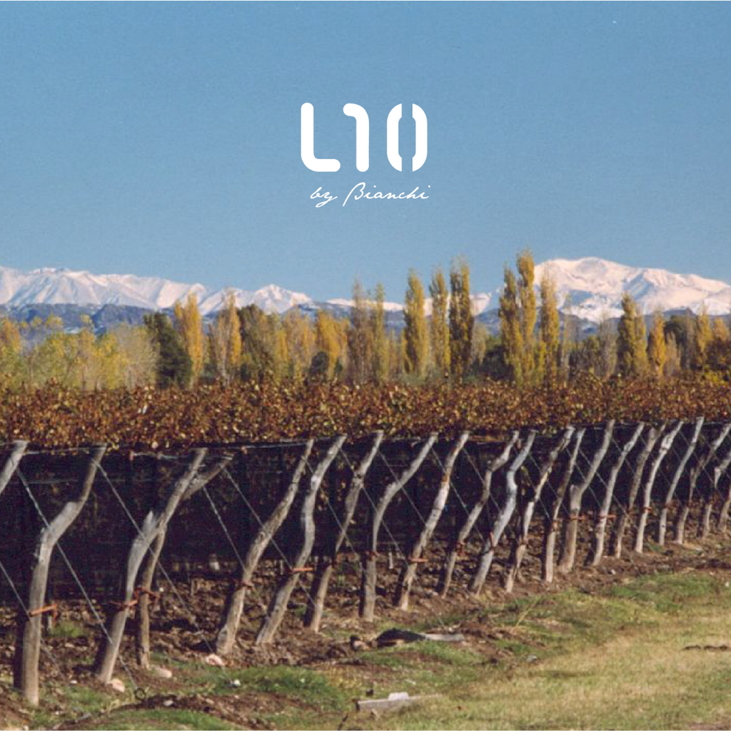 L10 Extra Brut image 2