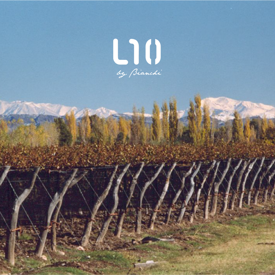 L10 Extra Brut image 2