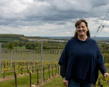 Exclusive Guided Tour of Yotes Vineyard for Four