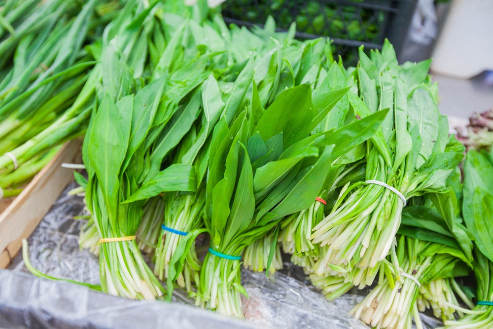 Sadgrove Farm Wild Garlic Salt image 1